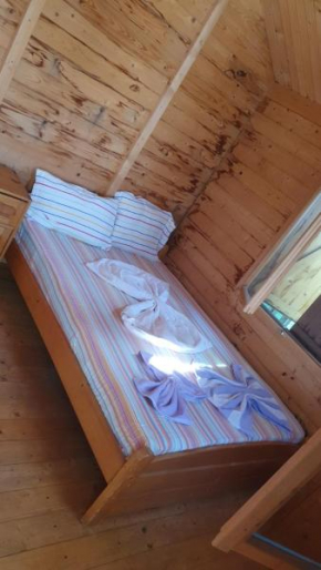 Camere Orizont